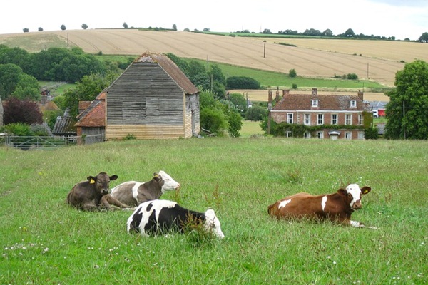 england-98088_640.jpg