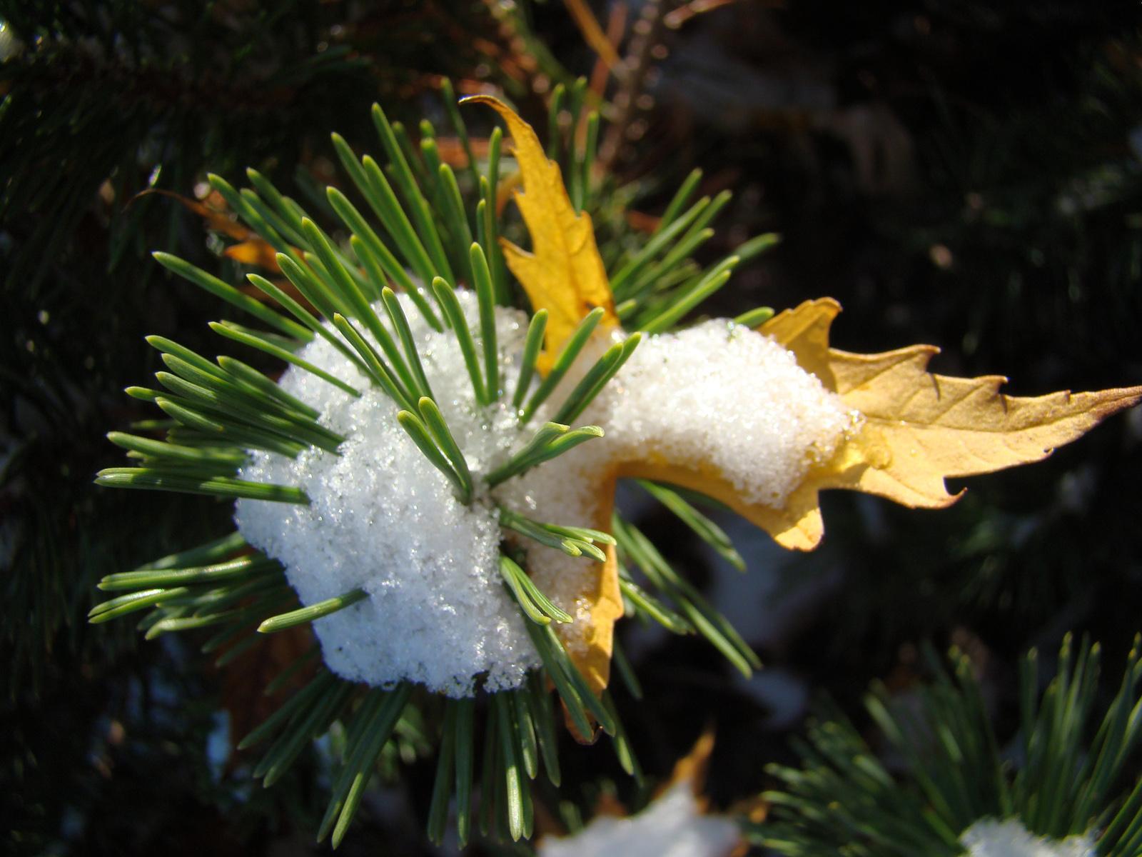 2010033016593461174.jpg