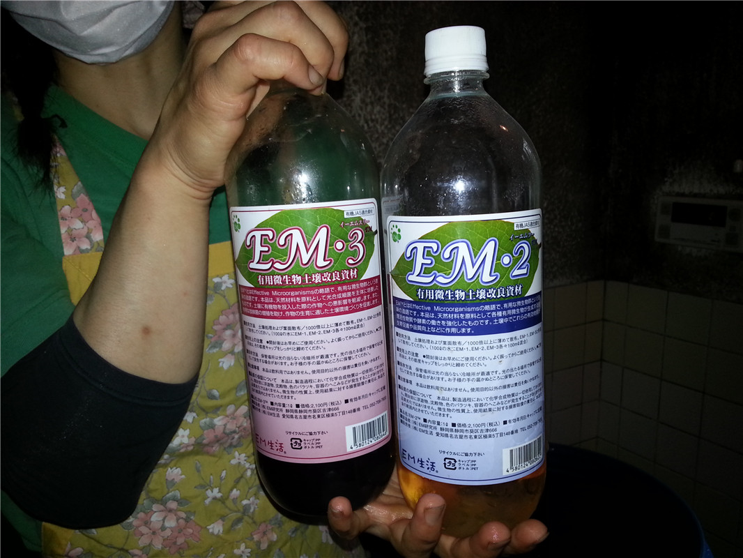 EMԭҺ.jpg