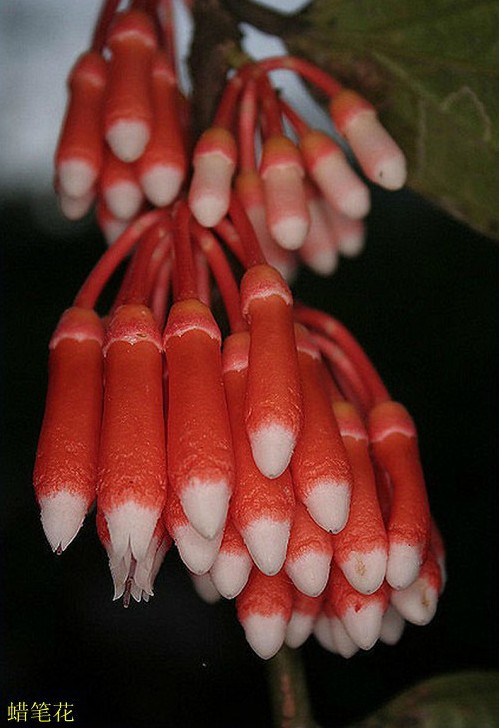 035.jpg
