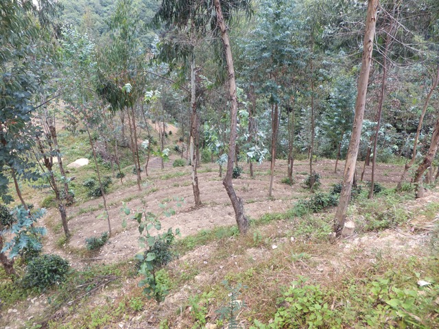 DSCF1716.jpg