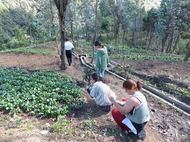 DSCF1759.jpg