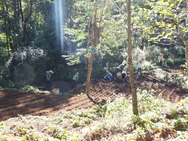 DSCF1763.jpg