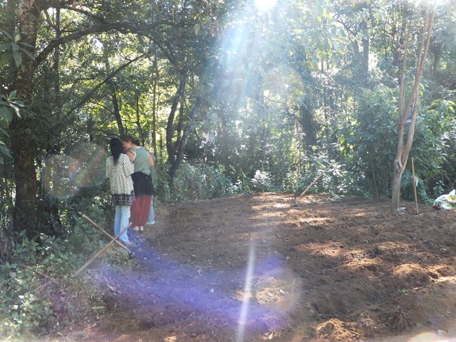 DSCF1765.jpg
