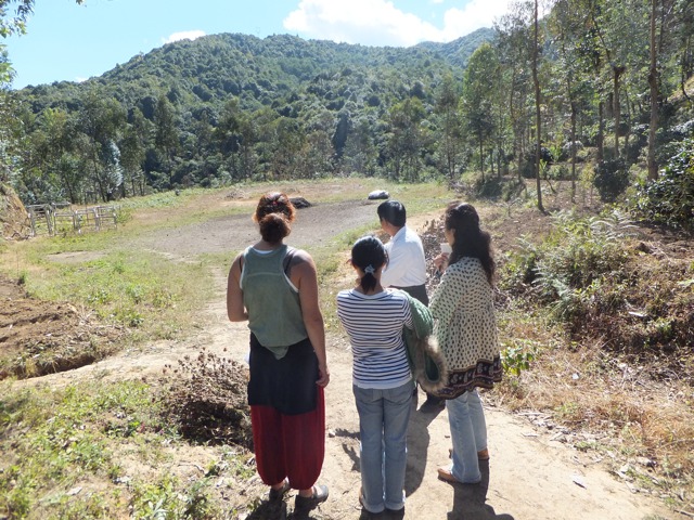 DSCF1782.jpg
