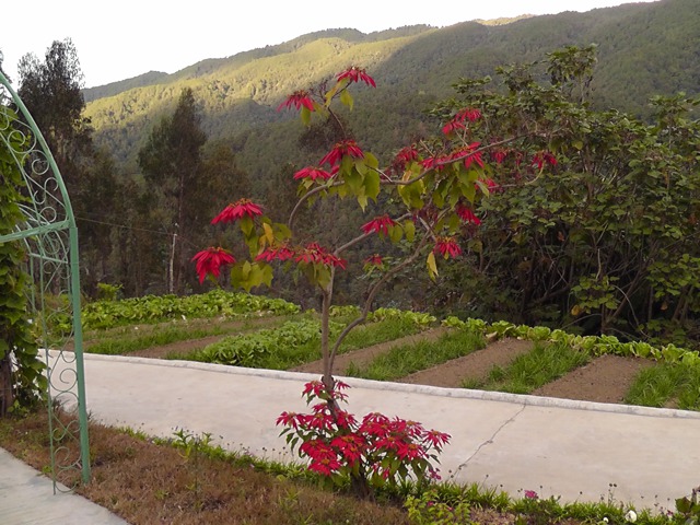S2870003.jpg