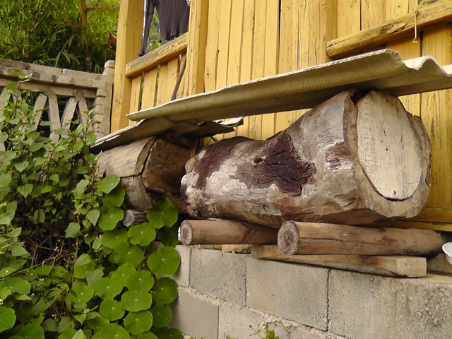 S2870017.jpg