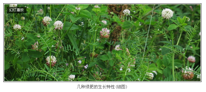 ScreenShot00274.jpg