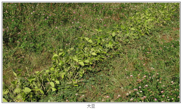 ScreenShot00284.jpg