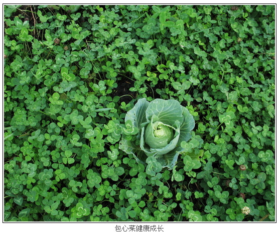 ScreenShot00291.jpg