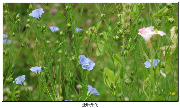 ScreenShot00296.jpg