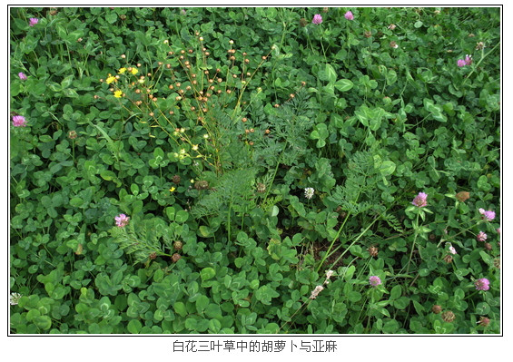 ScreenShot00300.jpg