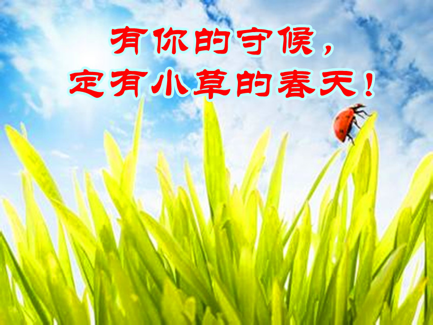 天天天天427472951&amp;fm=23&amp;gp=0_副本.jpg