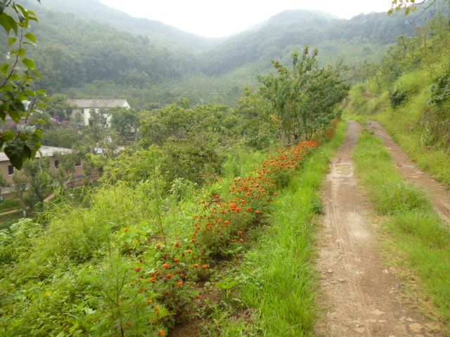 Զ볾.jpg