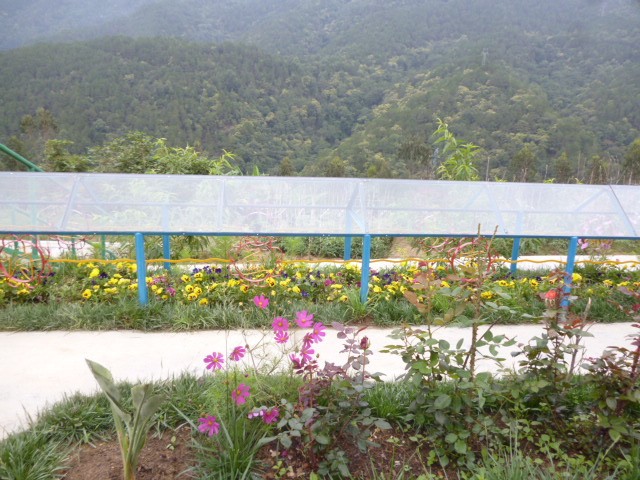ʻ2.jpg