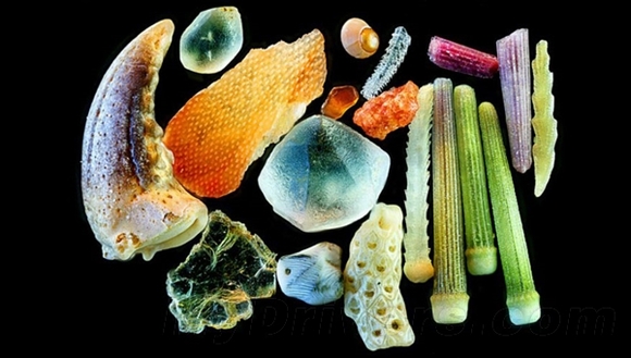 61375768800078814_large.jpg