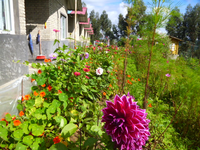 P1340249.JPG