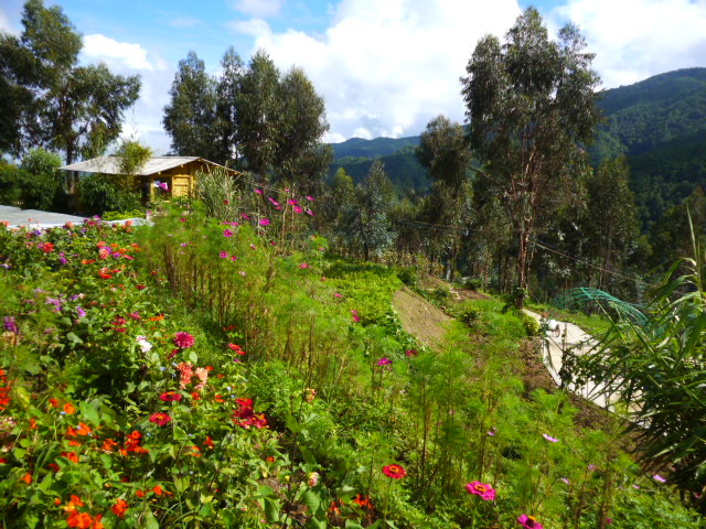 P1340252.JPG