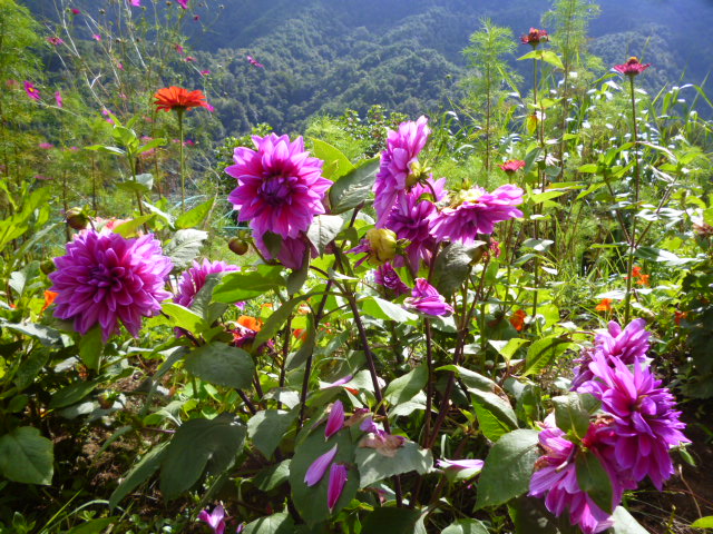 P1340253.JPG