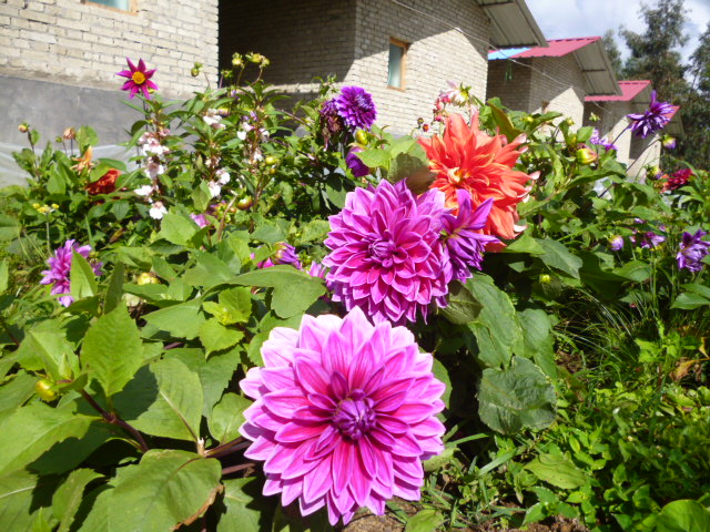 P1340257.JPG