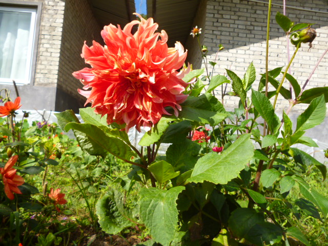 P1340258.JPG