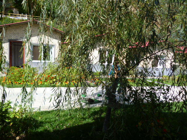 P1340263.JPG