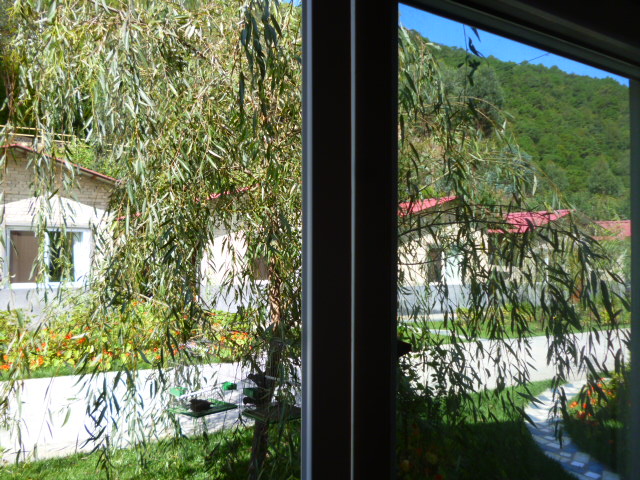 P1340264.JPG