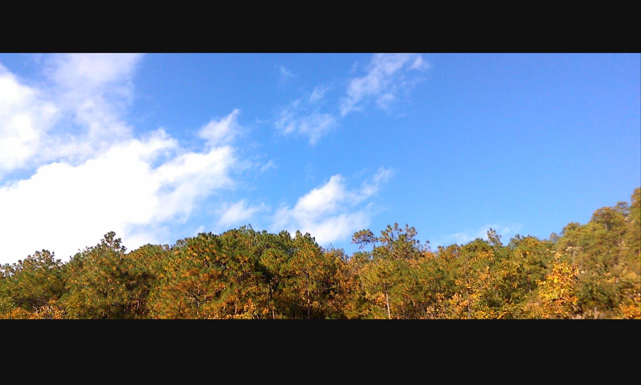 111214075902b0bfcf3ed3a136.jpg