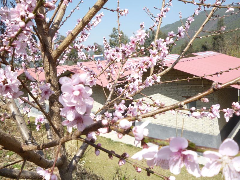 P1370484.JPG