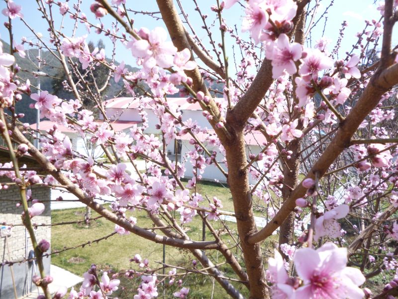 P1370485.JPG