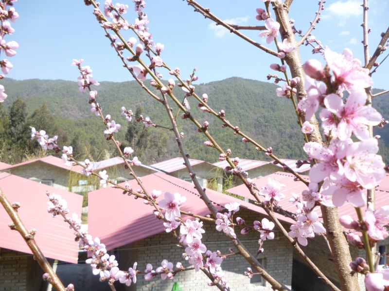 P1370495.JPG