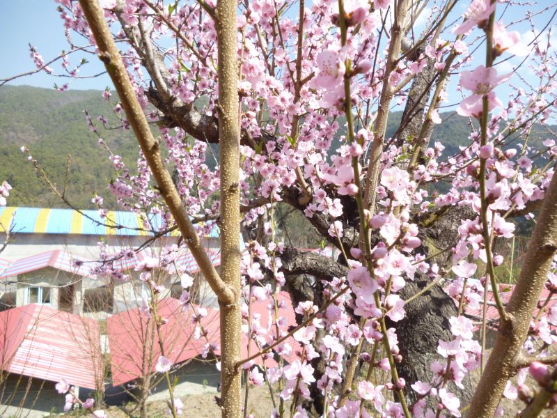 P1370501.JPG