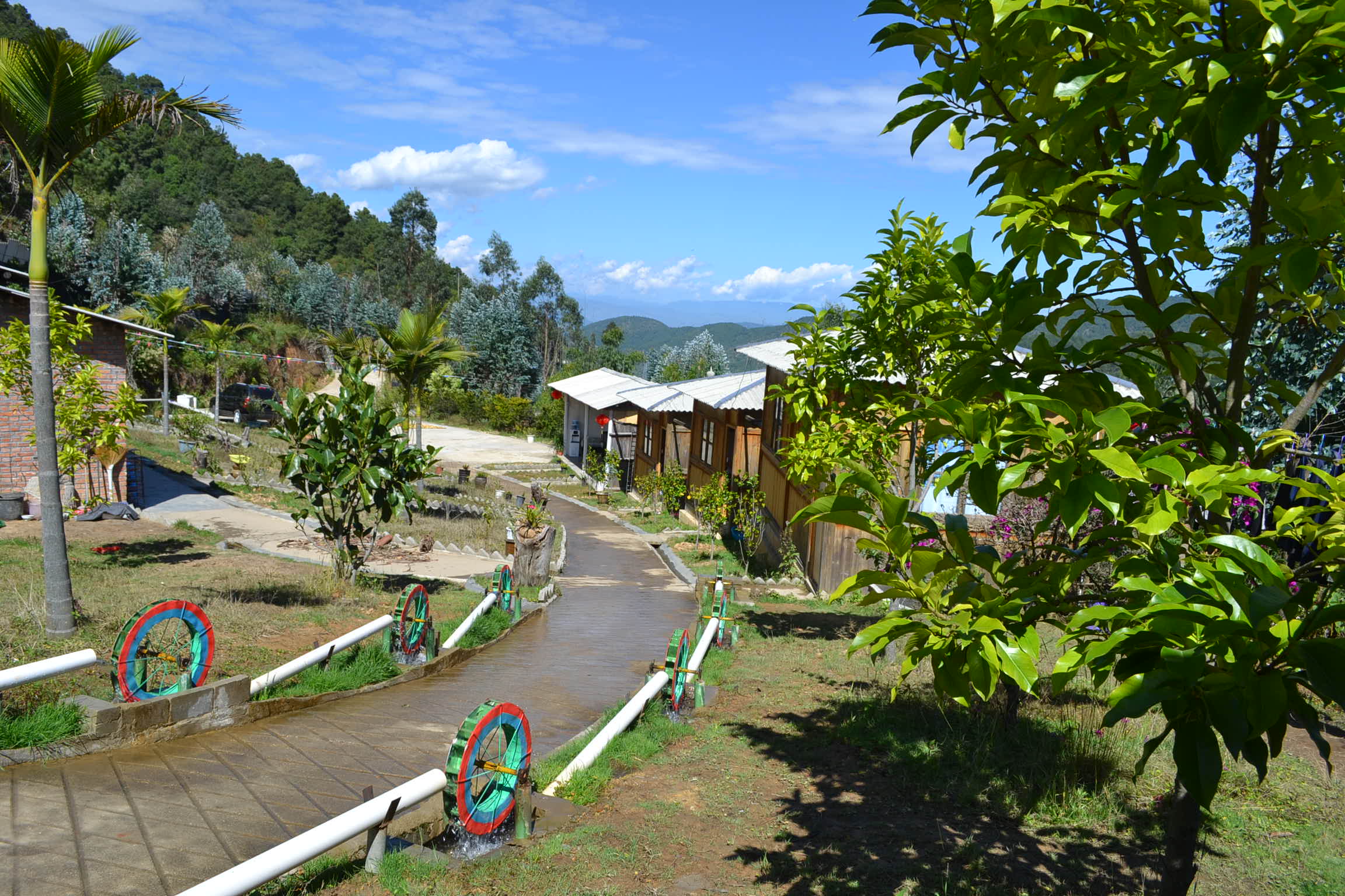 DSC_0216.JPG