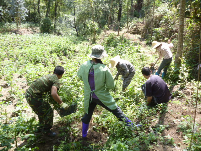 P1280367.JPG