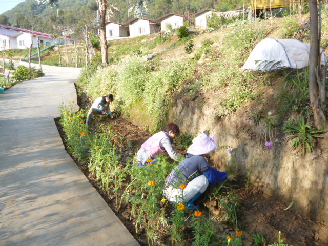 P1280433.JPG