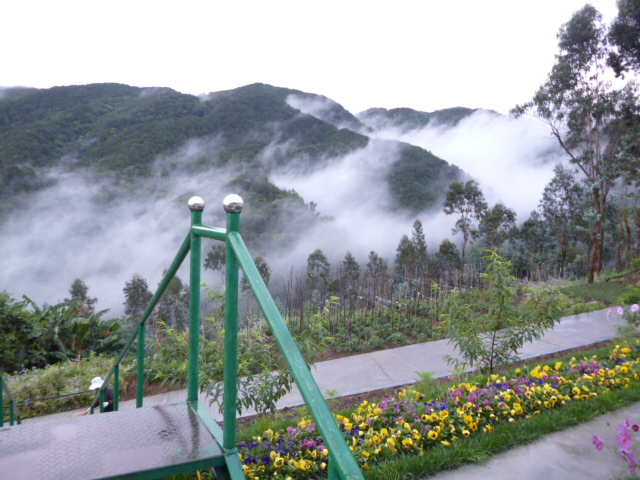 P1280561.JPG