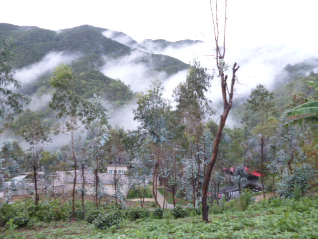 P1280563.JPG