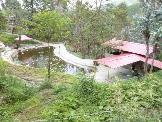 P1280719.JPG