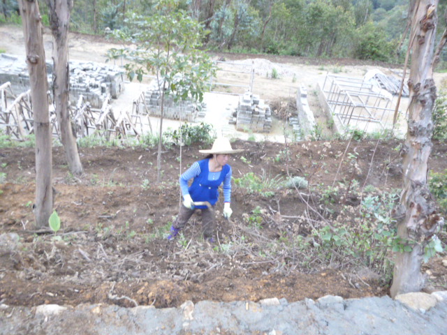 P1280764.JPG
