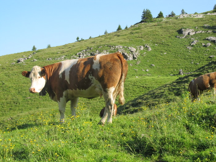 234436tixcs63ukc6a7ori.jpg
