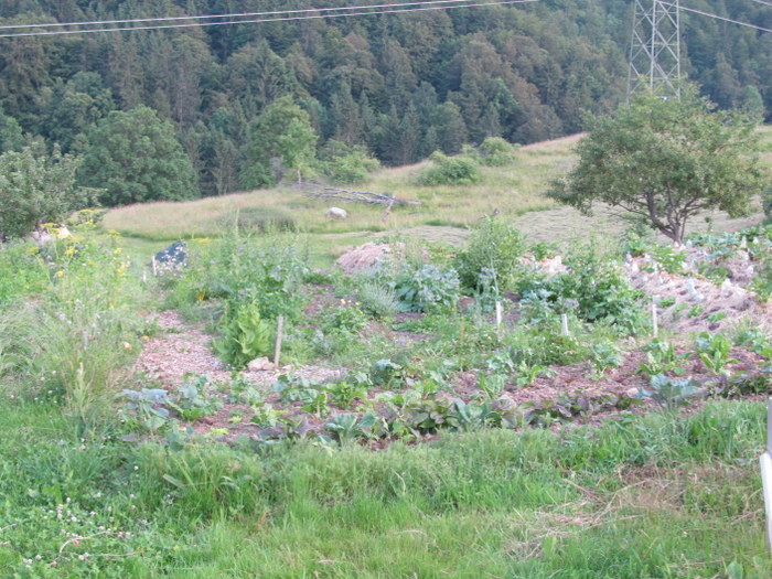 151858vr7ri9qm5700227y.jpg