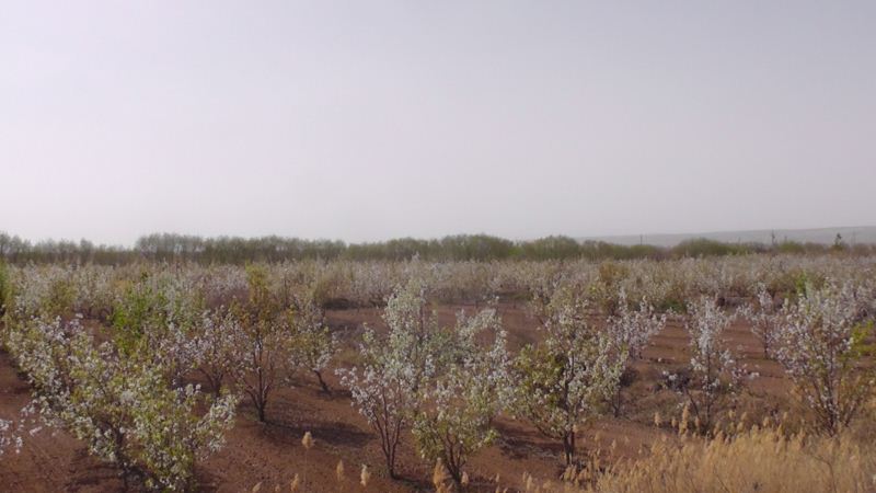 S3120024.JPG