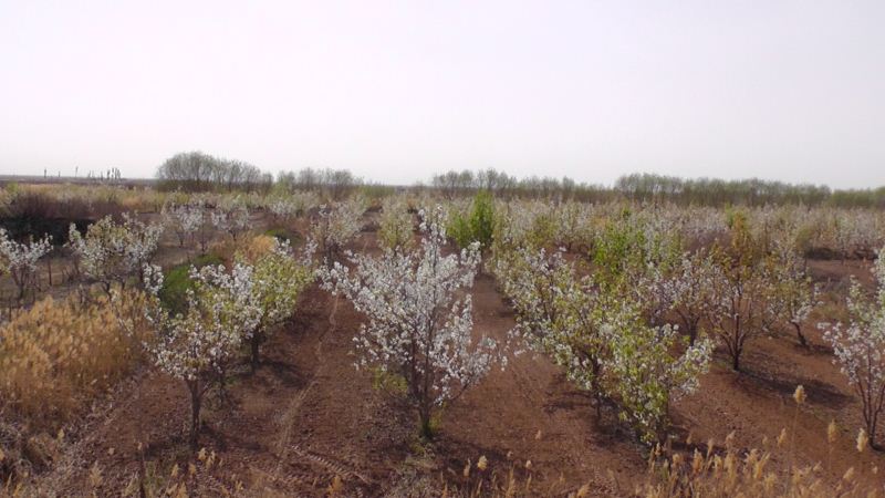 S3120025.JPG
