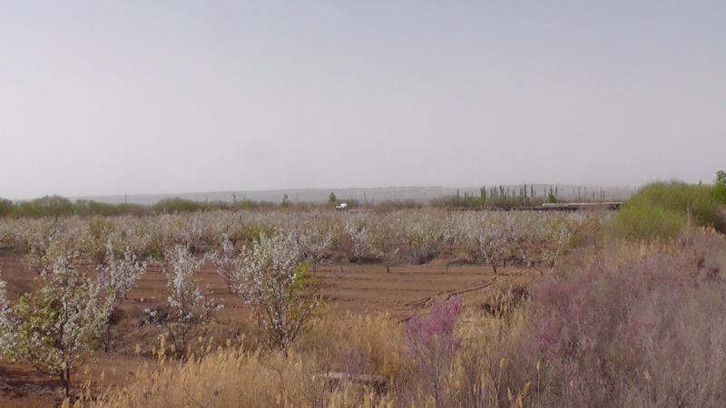 S3120026.JPG