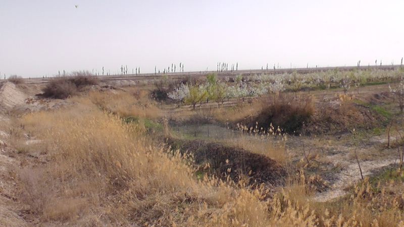 S3120028.JPG