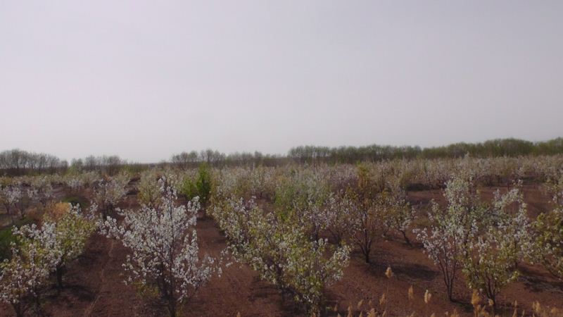 S3120030.JPG