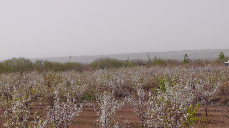 S3120031.JPG