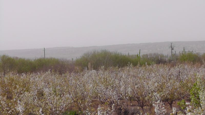 S3120032.JPG