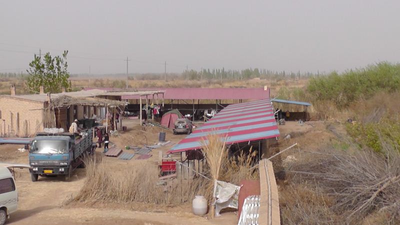 S3130006.JPG