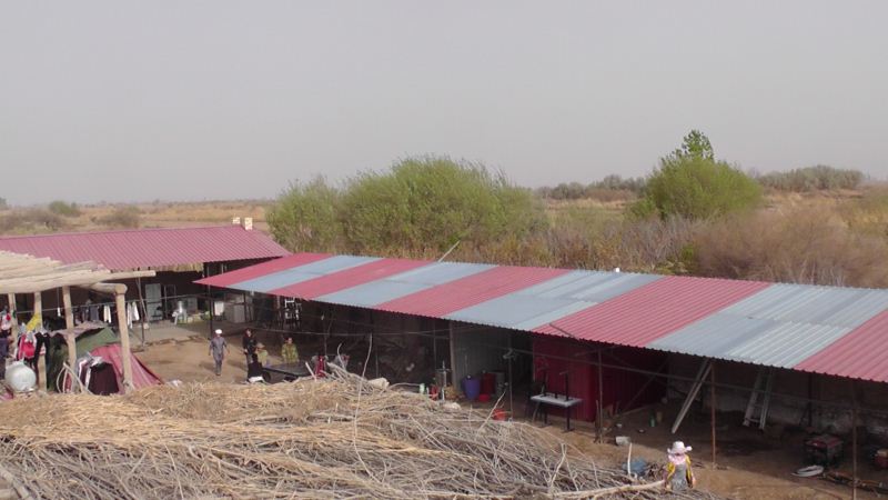 S3130018.JPG